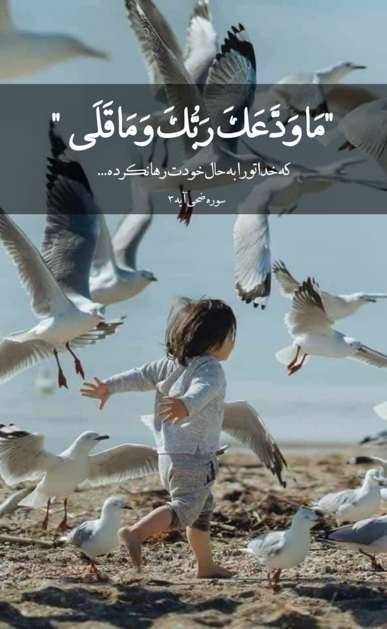 سوره‍ ضحی _  آی‍‌ه‍‍ ۳