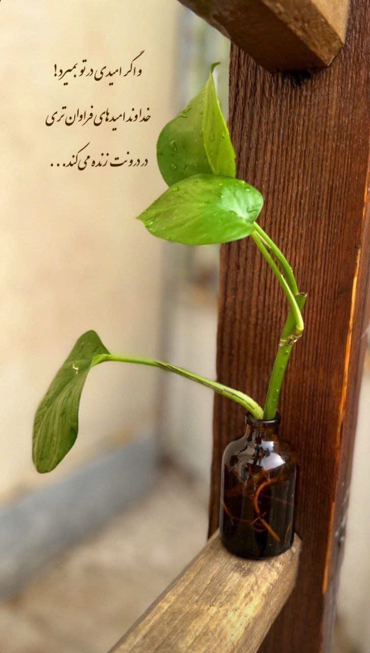 دعای‌جوشن‌کبیر 🌱